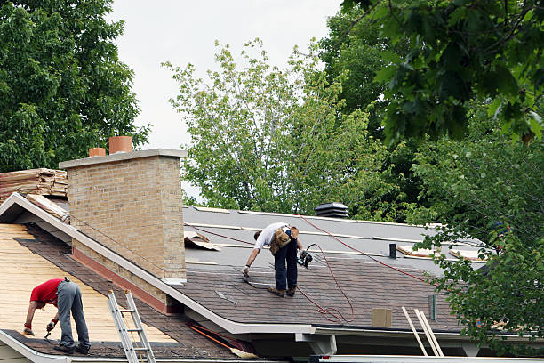 Best Metal Roofing Contractor  in Apple Valley, OH